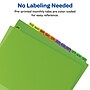 Avery Plastic Pre-Printed Monthly Plastic Divider, Jan-Dec Tabs, Multicolor, 1 Set (11331)~#|#~sp65645260_sc7
