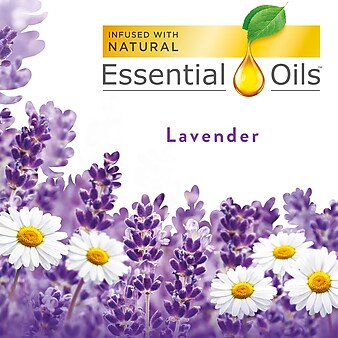 Air Wick Scented Oil, Lavender & Chamomile, 2/Pack (6233878473)