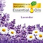Air Wick Freshmatic Air Freshener Refill, Lavender Scent, 5.89 Oz., 6/Carton (6233877961CT)~#|#~sp68620031_sc7