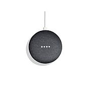 Google Nest Mini Smart Speaker, Charcoal (GA00781-US)
