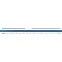Staedtler 12" Imperial Scale Marking Architectural Ruler (56189-10BK)~#|#~sp70516875_sc7