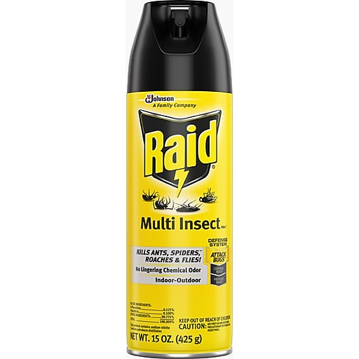 Raid Multi Insect Killer, Indoor/Outdoor Aerosol Spray, 15 oz. (300819