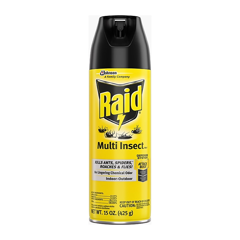 Raid Multi Insect Killer, Indoor/Outdoor Aerosol Spray, 15 oz. (300819) image 1
