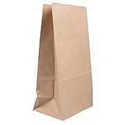 JAM Paper Kraft Lunch Bags, 11" x 6" x 3.5", Brown, 25/Pack (692KRBR)