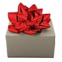 JAM Paper Gift Bows, Red (2167013381)~#|#~sp71004578_sc7