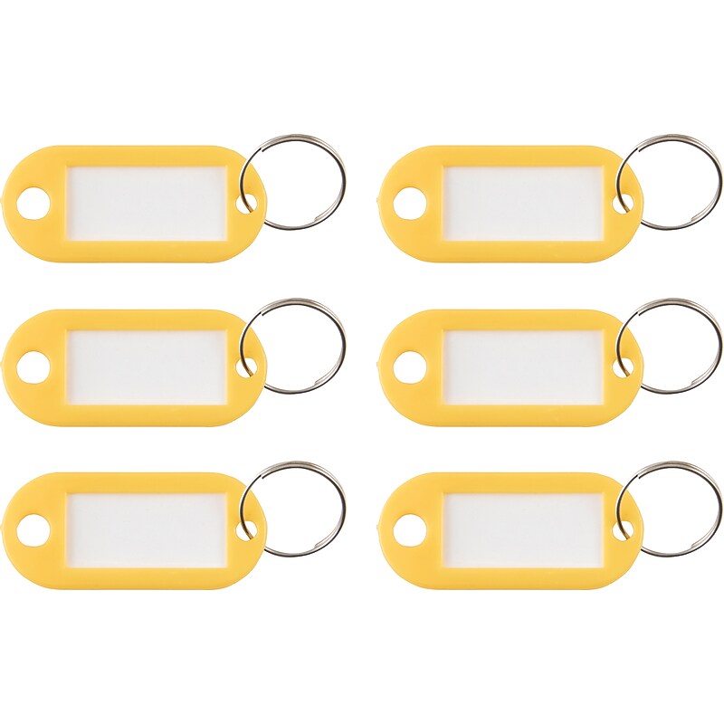 Advantus 1-Key Tags, Yellow, 6/Pack (KEY98021) image 1