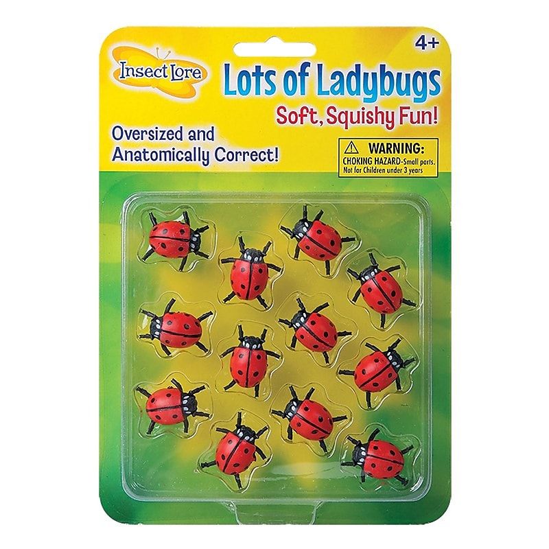 Insect Lore Lots Of Ladybugs Science Manipulative for Students (ILP4850) image 1