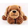 Roylco Theo the Therapy Dog  (R-49595)~#|#~sp72586858_sc7