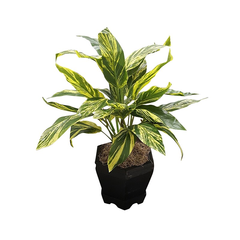 Nearly Natural 6789 Ginger Plant with Black Planter Green & Black image 1