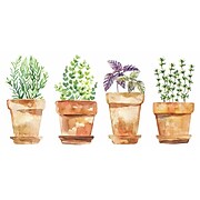 RoomMates Peel and Stick Wall Contemporary Decals, Botanical, 4/Pack (RMK3652SCS)