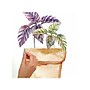 RoomMates Peel and Stick Wall Contemporary Decals, Botanical, 4/Pack (RMK3652SCS)~#|#~sp73358590_sc7