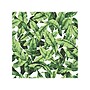 RoomMates Peel and Stick Giant Wall Contemporary Decals, Nature (RMK11045WP)~#|#~sp73358635_sc7