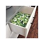 RoomMates Peel and Stick Giant Wall Contemporary Decals, Nature (RMK11045WP)~#|#~sp73358639_sc7