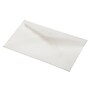 JAM Paper 2Pay Translucent Vellum Envelopes, 2.5 x 4.25, Clear, 100/Pack (900767740A)~#|#~sp73452846_sc7