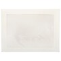 JAM Paper Window Envelope, 9" x 12", White, 100/Pack (0223932B)~#|#~sp74203968_sc7
