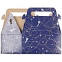 JAM Paper Gable Gift Box with Handle, Small, 3 1/4 x 6 x 3, Purple Shooting Stars Design (4353514)~#|#~sp75935342_sc7