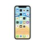 Belkin SCREENFORCE Tempered Glass Screen Protector for iPhone 11 (F8W948ZZ-AM)~#|#~sp78263974_sc7