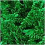 JAM Paper Colored Crinkle Paper, Green (1196519)~#|#~sp79659514_sc7
