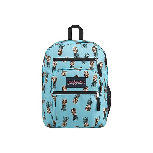 Jansport Big Student Backpack Reviews 2020 IUCN Water
