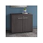 Bush Business Furniture Office 500 30" Storage Cabinet with Two Shelves, Storm Gray (OFS136SGSU)~#|#~sp81262277_sc7