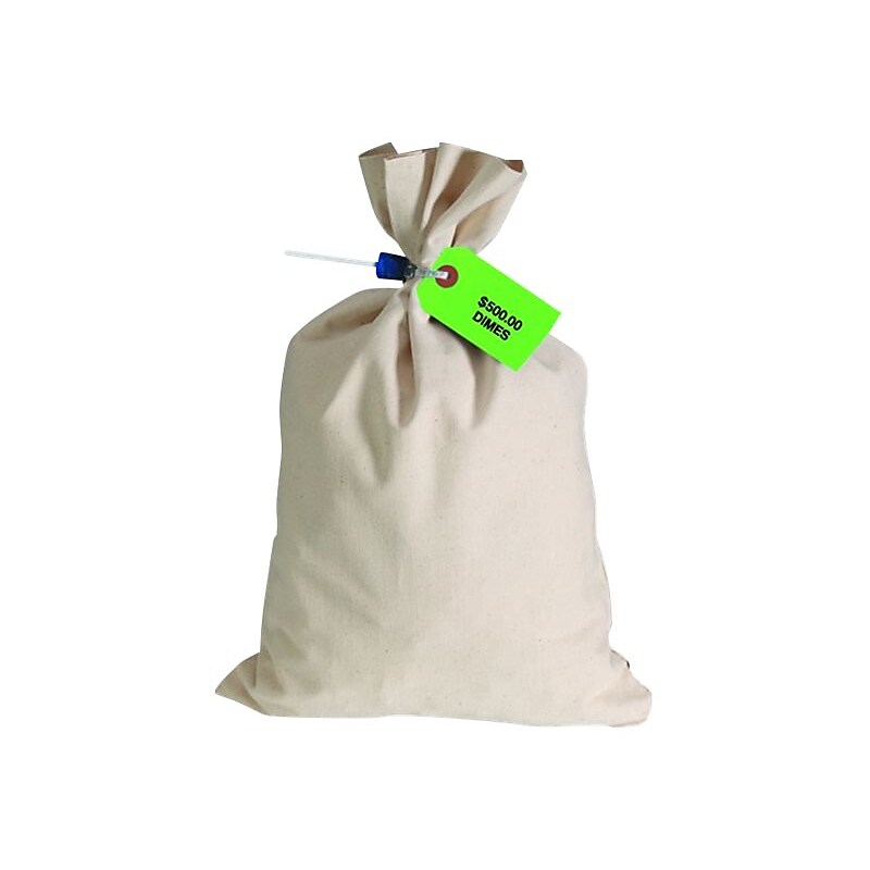 CONTROLTEK Canvas Coin Transit Bag, Beige (71219) image 1