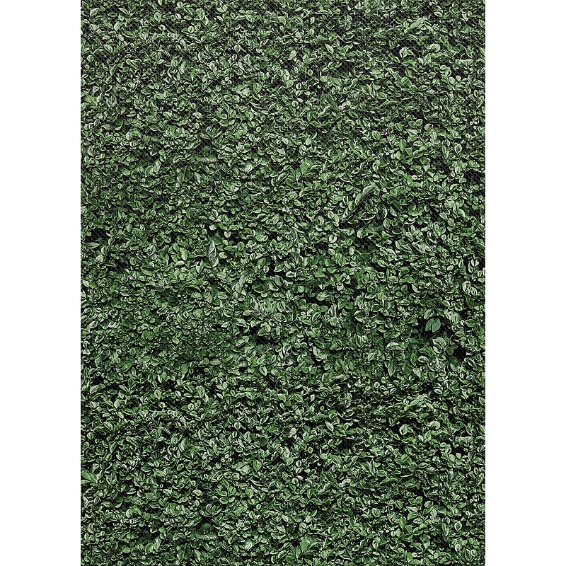 Teacher Created Resources Better Than Paper Bulletin Board Paper Roll, Green Boxwood, 4-Pack (TCR32357) image 1