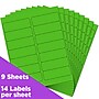 JAM Paper Address Labels, 1 1/3" x 4", Neon Green, 14 Labels/Sheet, 9 Sheets/Pack (359329613)~#|#~sp87119458_sc7
