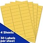 JAM Paper Laser/Inkjet Mailing Address Label, 1" x 2 5/8", Yellow, 30 Labels/Sheet, 4 Sheets/Pack (302725801)~#|#~sp87119618_sc7