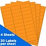 JAM Paper Laser/Inkjet Address Labels, 1" x 2 5/8", Neon Orange, 30 Labels/Sheet, 4 Sheets/Pack (35432814)~#|#~sp87119792_sc7
