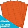 JAM Paper Laser/Inkjet Mailing Address Label, 1" x 2 5/8", Orange, 30 Labels/Sheet, 4 Sheets/Pack (302725782)~#|#~sp87119808_sc7