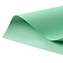 Exact 110 lb. Index Paper, 8.5" x 11", Green, 250 Sheets/Pack (WAU49561)~#|#~sp89168281_sc7