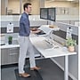 Fellowes Lotus DX Sit-Stand Workstation Adjustable Monitor Stand, White (8080201)~#|#~sp89277796_sc7