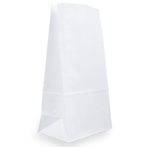 JAM Paper Kraft Lunch Bags, Large, 6" x 11" x 3.5", White, Bulk 500