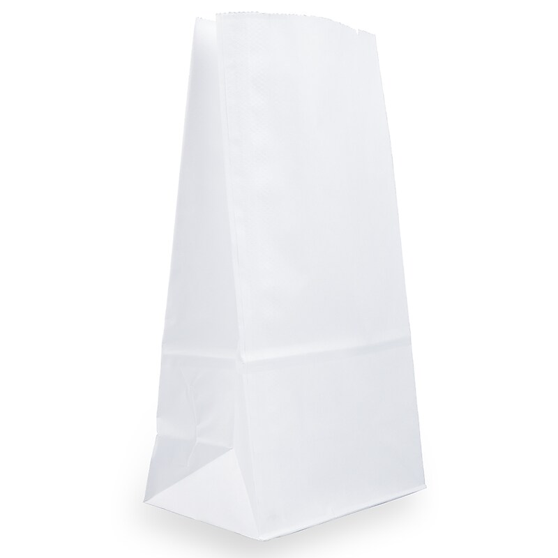 JAM Paper Kraft Lunch Bags, Large, 6" x 11" x 3.5", White, 25/Pack (692KRWH) image 1