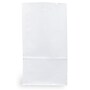 JAM Paper Kraft Lunch Bags, Large, 6" x 11" x 3.5", White, Bulk 500 Bags/Box (692KRWHB)~#|#~sp89651657_sc7