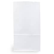 JAM Paper Kraft Lunch Bags, Large, 6" x 11" x 3.5", White, 25/Pack (692KRWH)
