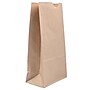 JAM Paper Kraft Lunch Bags, Medium, 5" x 9.75" x 3", Brown Kraft Recycled, Bulk 500 Bags/Box (691KRBRB)~#|#~sp89651663_sc7