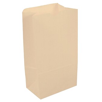 JAM Paper 6" x 11" x 3.5" Kraft Lunch Bags, Large, Ivory, Bulk 500 Bags/Box (692KRIVB)