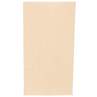 JAM Paper 6" x 11" x 3.5" Kraft Lunch Bags, Large, Ivory, Bulk 500 Bags/Box (692KRIVB)