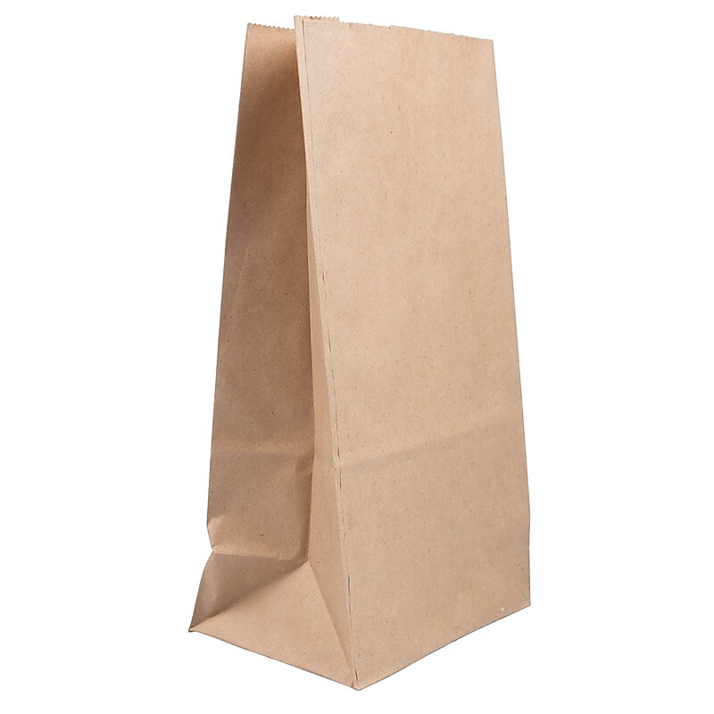 JAM Paper Kraft Lunch Bag, Large, 6" x11" x 3.5", Brown, 500/Pack (692KRBRB) image 1