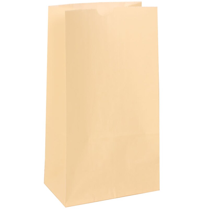 JAM Paper Kraft Lunch Bags, Medium, 5" x 9.75" x 3", Ivory Kraft, Bulk 500 Bags/Box (691KRIVB) image 1