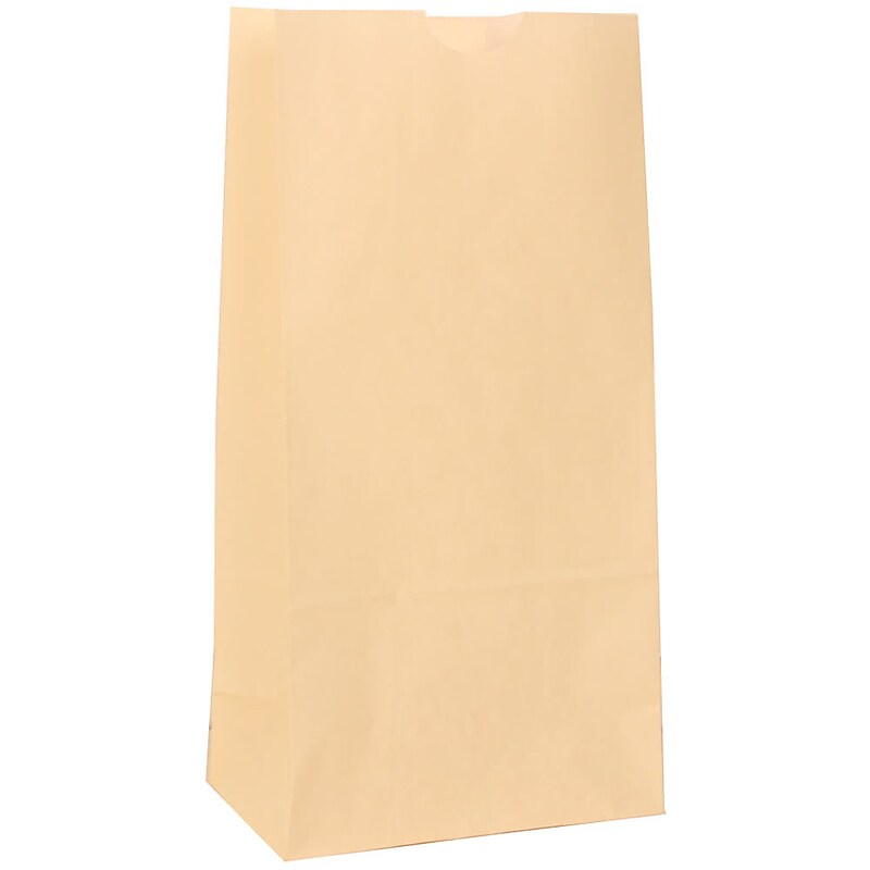 JAM Paper Kraft Lunch Bags, Small, 4.25" x 8" x 2.25", Ivory Kraft, Bulk 500 Bags/Box (690KRIVB) image 1
