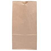 JAM Paper Kraft Lunch Bags, Medium, 9.75" x 5" x 3", Brown Kraft Recycled, 25/Pack (691KRBR)