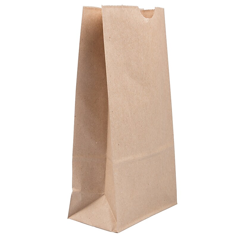 JAM Paper Kraft Lunch Bags, Medium, 9.75" x 5" x 3", Brown Kraft Recycled, 25/Pack (691KRBR) image 1