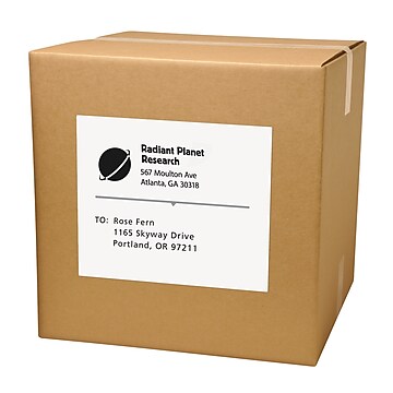 Avery Copier Shipping Labels, 8 1/2" x 11", White, 100 Labels/Pack (5353)