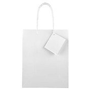 JAM Paper 10" x 8" x 4" Paper Gift Bags, White, 6 Bags/Pack (672GLwha)