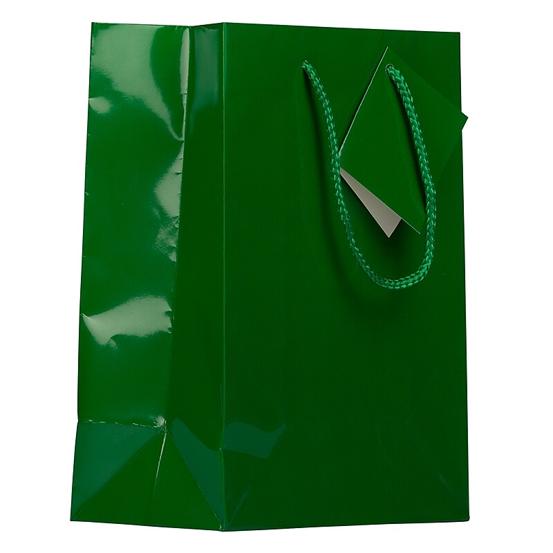 JAM Paper Glossy Gift Bag, 8" x 4" x 10", Green, 6 Bags/Pack (672GLgra) image 1