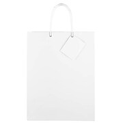 JAM Paper 10" x 13" x 5" Paper Gift Bags, White, 6 Bags/Pack (673GLwha)