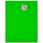 JAM Paper Laser/Inkjet Shipping Labels, 2" x 4", Neon Green, 10 Labels/Sheet, 12 Sheets/Pack (354328017)~#|#~sp90422425_sc7