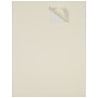JAM Paper Laser/Inkjet Shipping Shipping Labels, 2" x 4", Ivory, 10 Labels/Sheet, 12 Sheets/Pack (17966070)~#|#~sp90422437_sc7